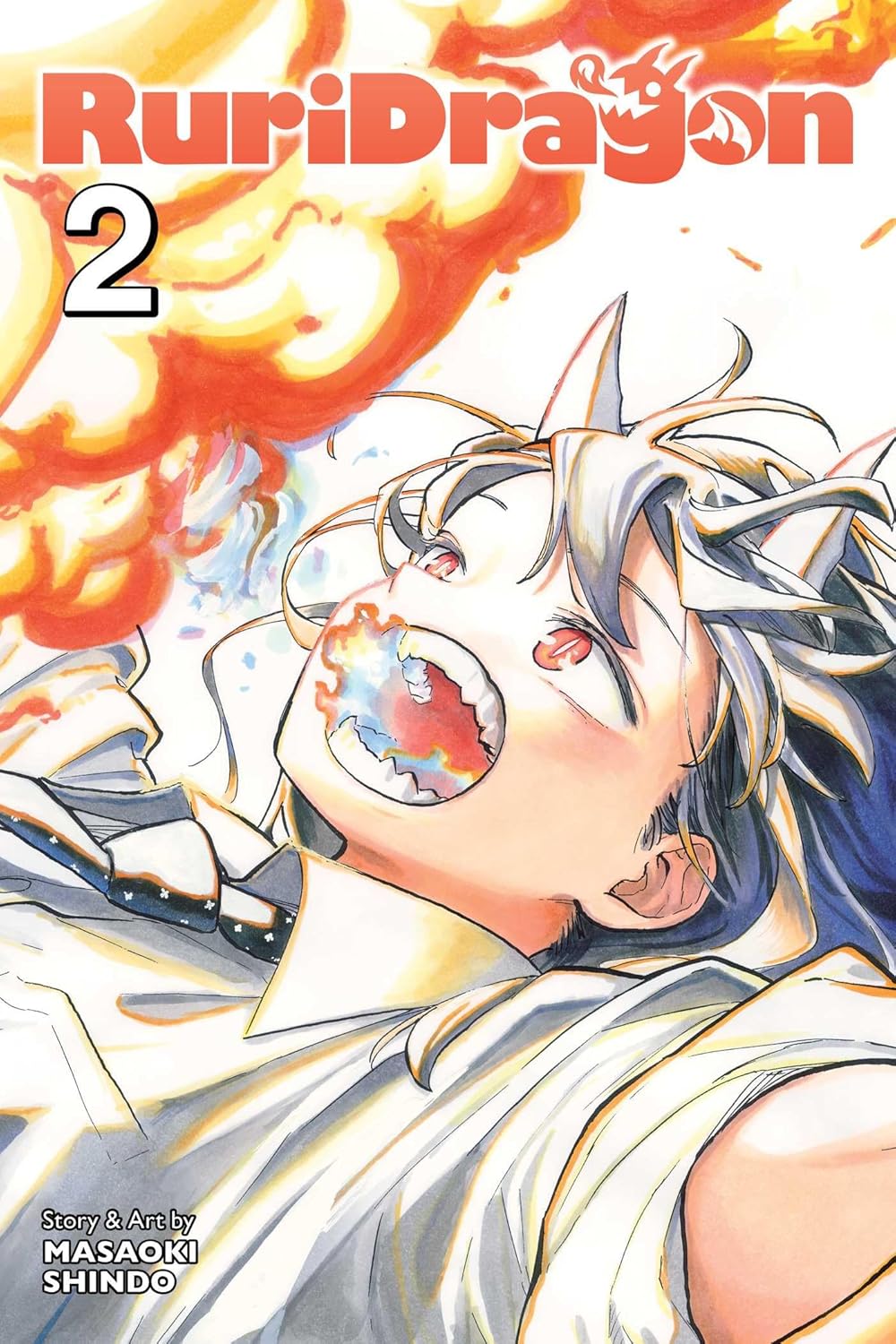 Ruri Dragon Vol 2