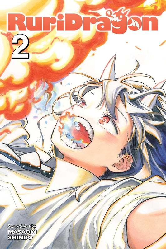 Ruri Dragon Vol 2