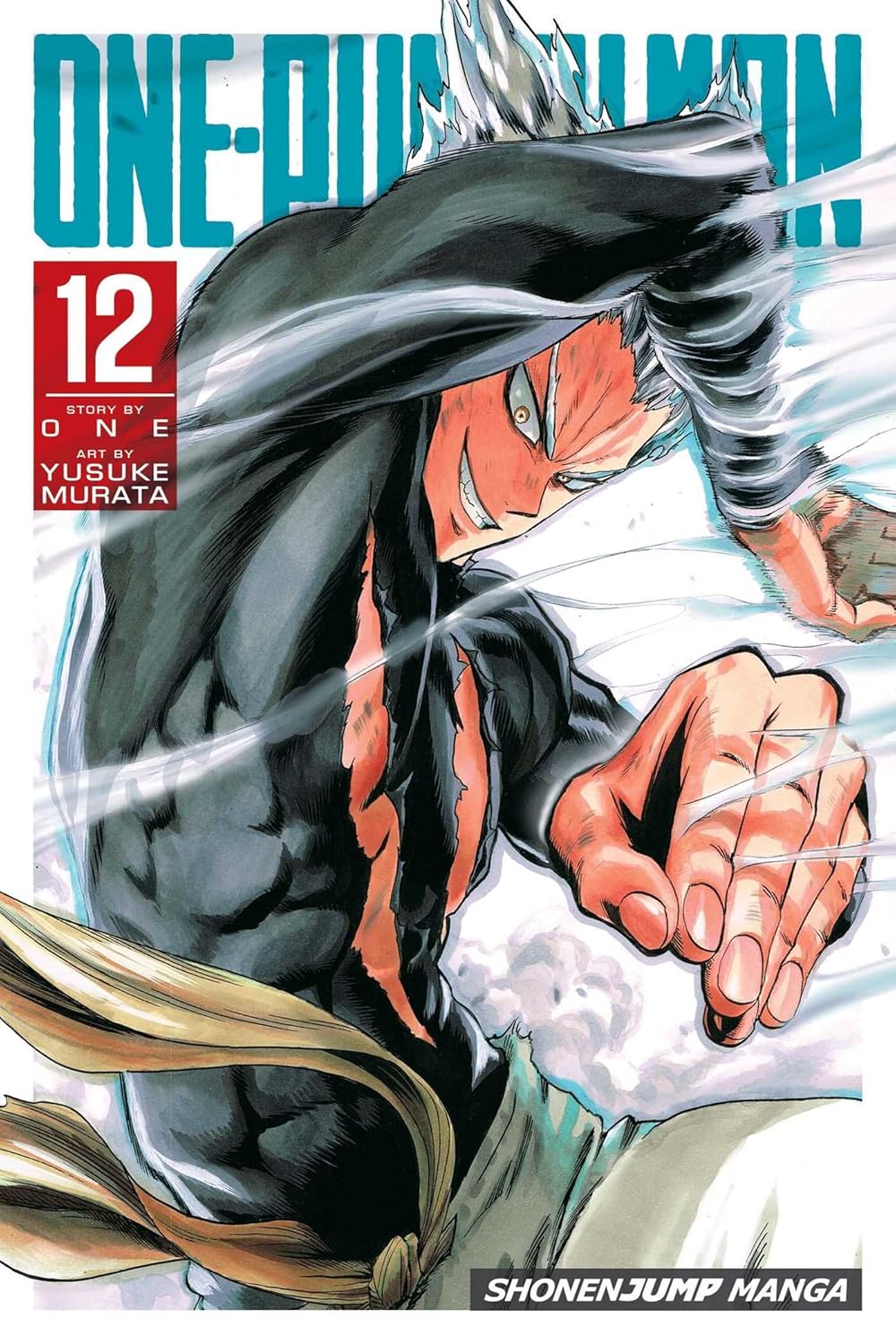 One Punch Man Vol 12