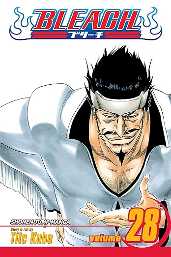 Bleach Vol 28