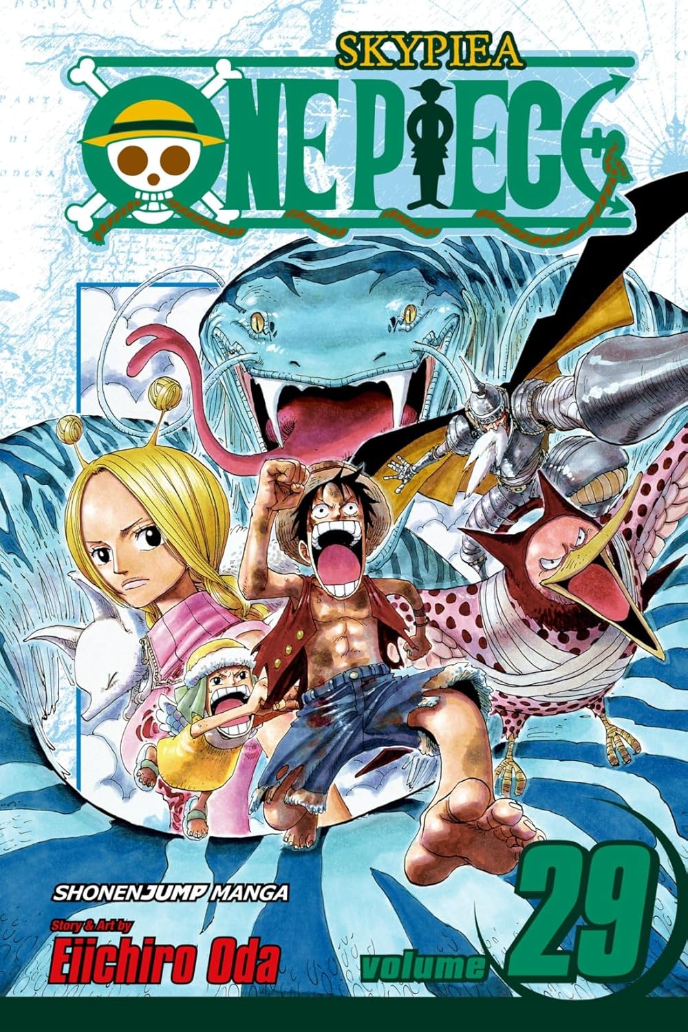 One Piece Vol 29