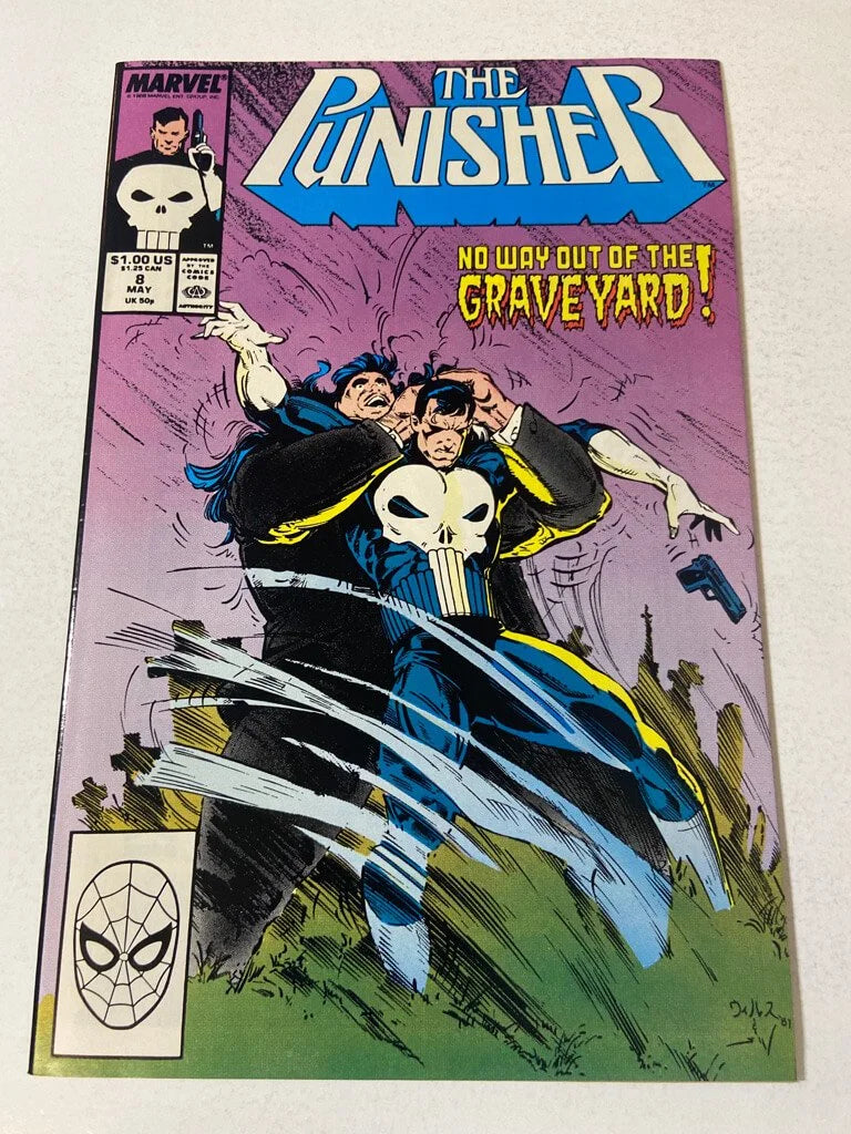 PUNISHER #8 Vol 2