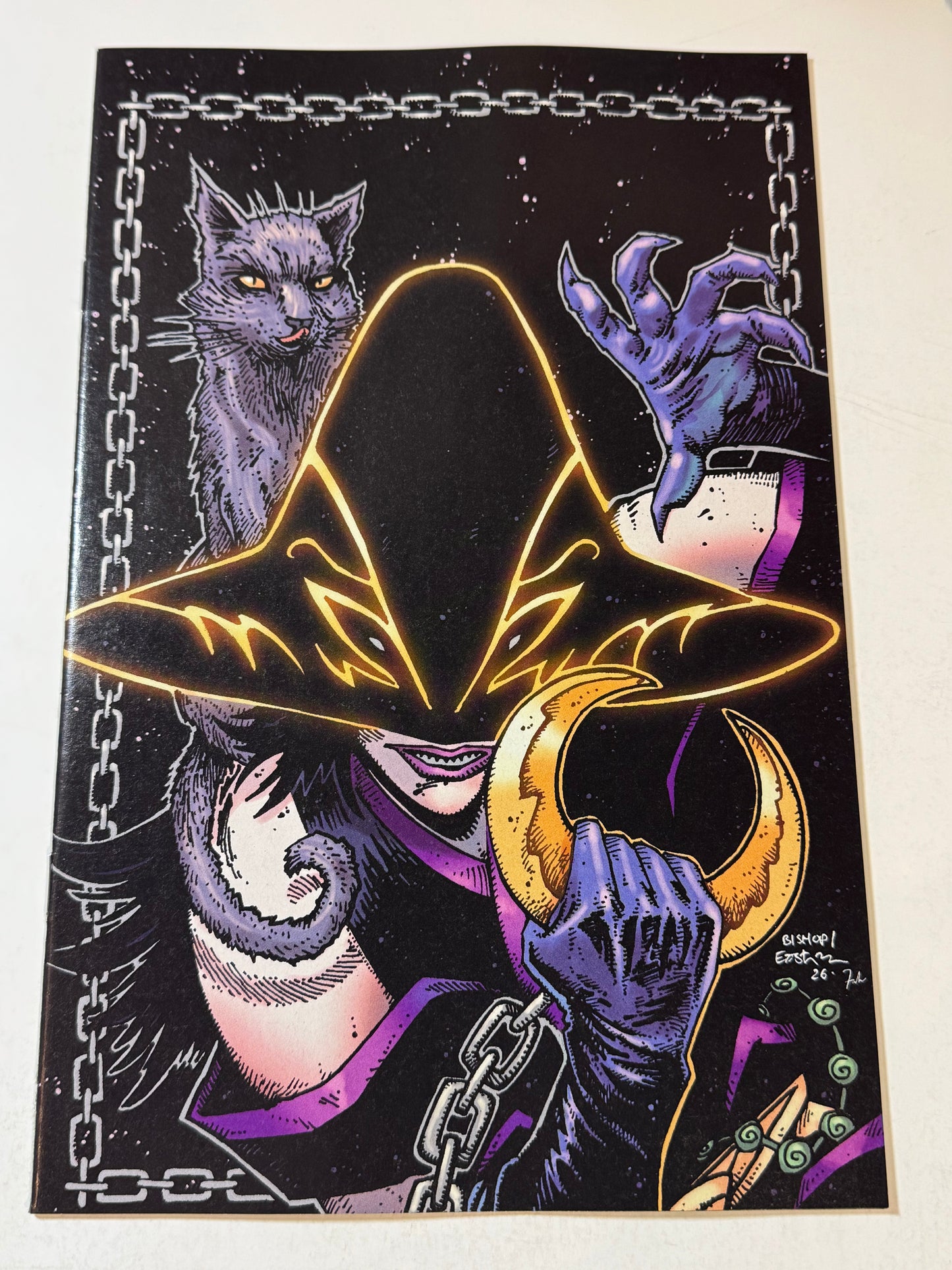 TEENAGE MUTANT NINJA TURTLES #17 Vol 2 NM 1:10 Vigin Kevin Eastman Variant