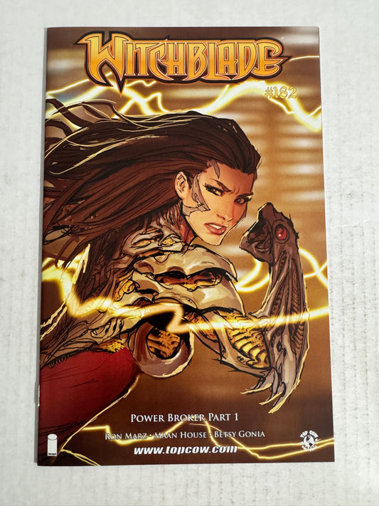 WITCHBLADE #182 NM Stjepan Sejic B Variant