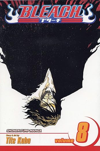 Bleach Vol 8