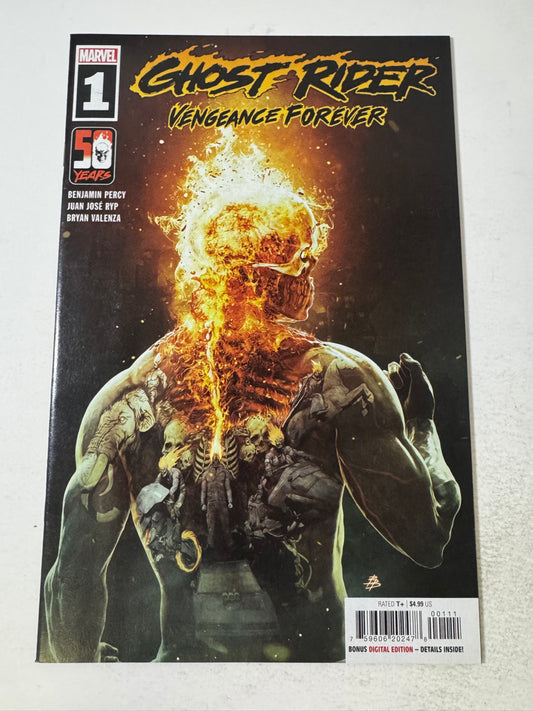 GHOST RIDER Vengeance Forever #1 NM Bjorn Barends Cover