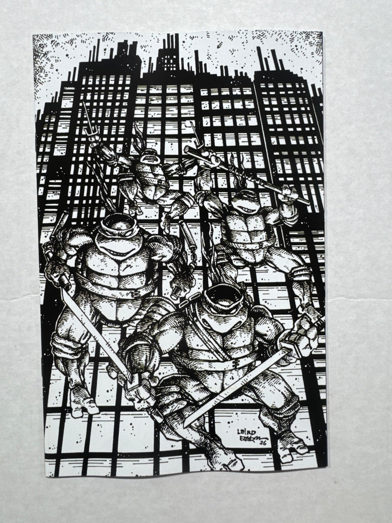 TEENAGE MUTANT NINJA TURTLES #20 Vol 2 #300 NM 1:25 B/W Virgin Kevin Eastman Variant
