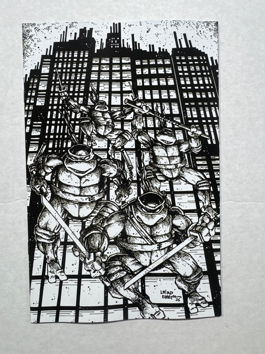 TEENAGE MUTANT NINJA TURTLES #20 Vol 2 #300 NM 1:25 B/W Virgin Kevin Eastman Variant
