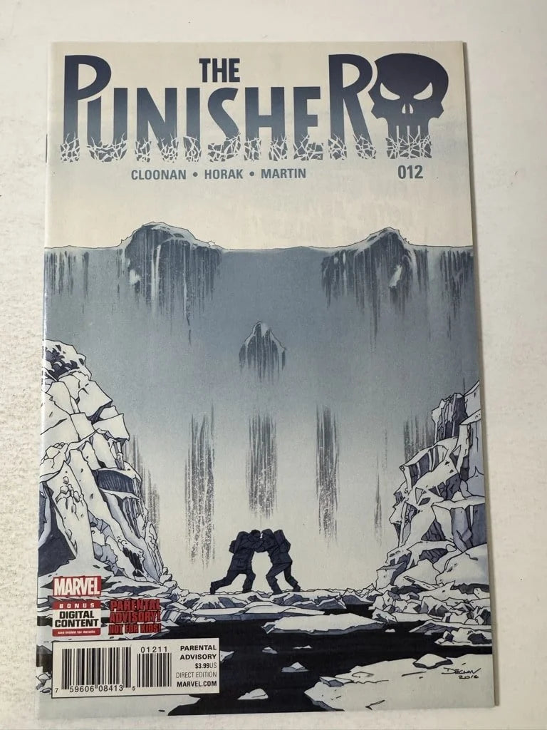 PUNISHER #12 Vol 10 NM