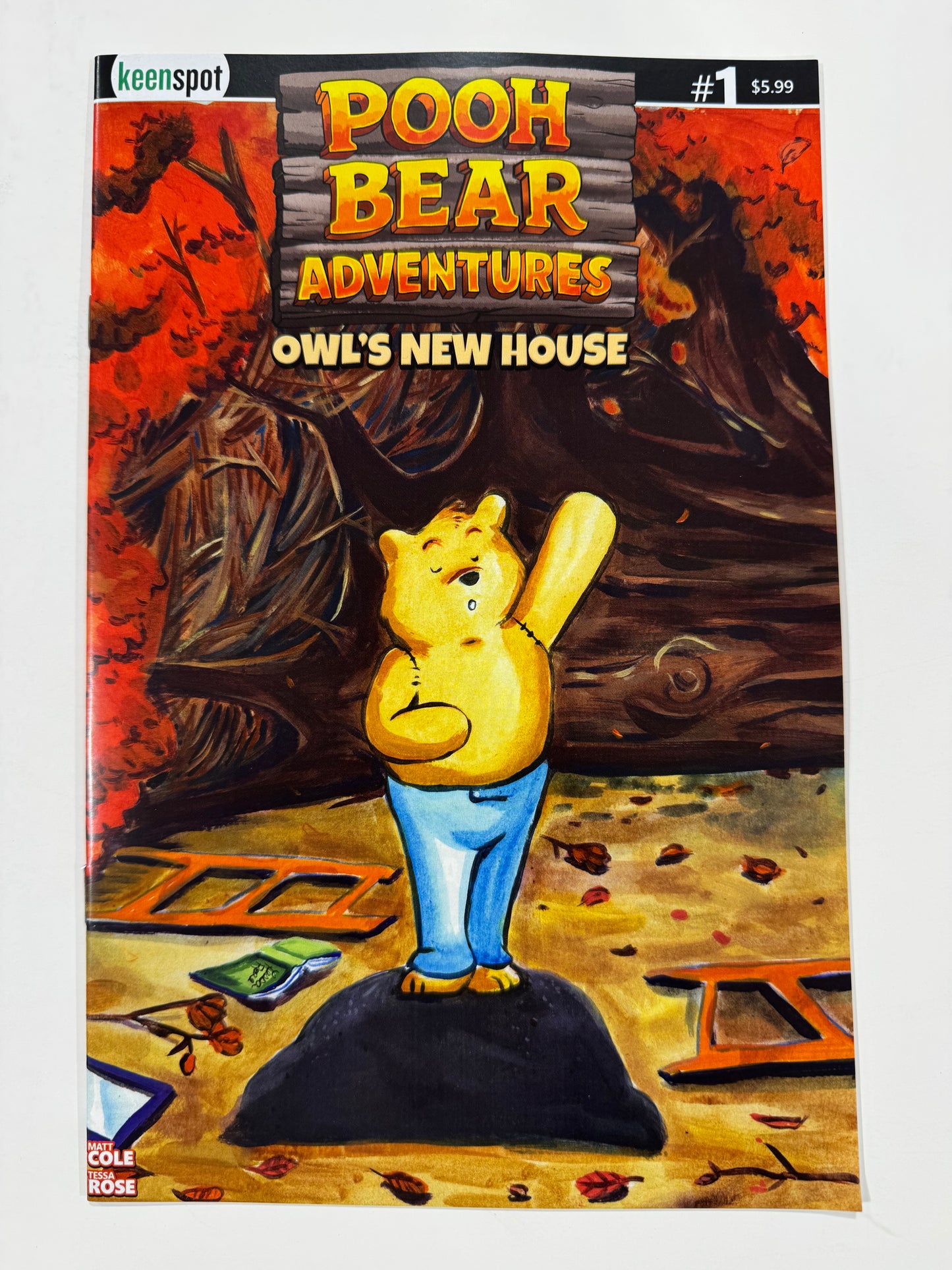 POOH BEAR ADVENTURES: OWL'S NEW HOUSE #1 NM Cover B Tessa Rose Variant
