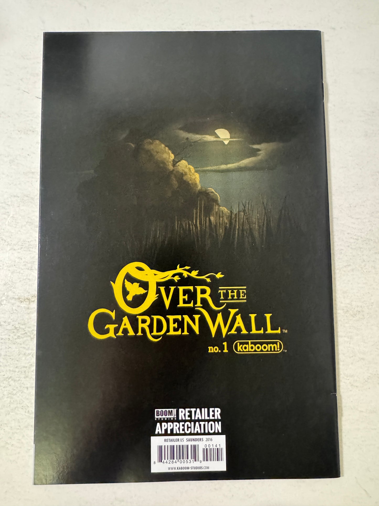 OVER THE GARDEN WALL #1 NM- Retailer Appreciation Variant