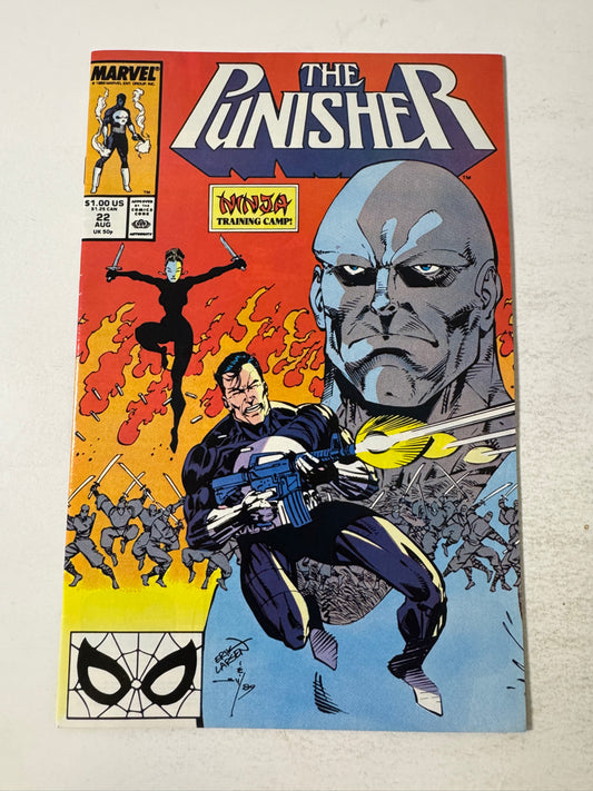 PUNISHER #22 Vol 2 Erik Larsen Cover