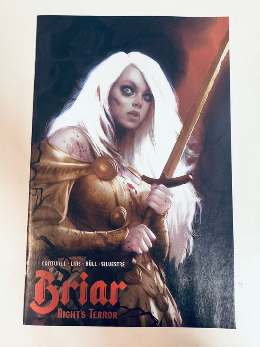 Briar: Night's Terror #3 NM Cover B Rebeca Puebla Variant