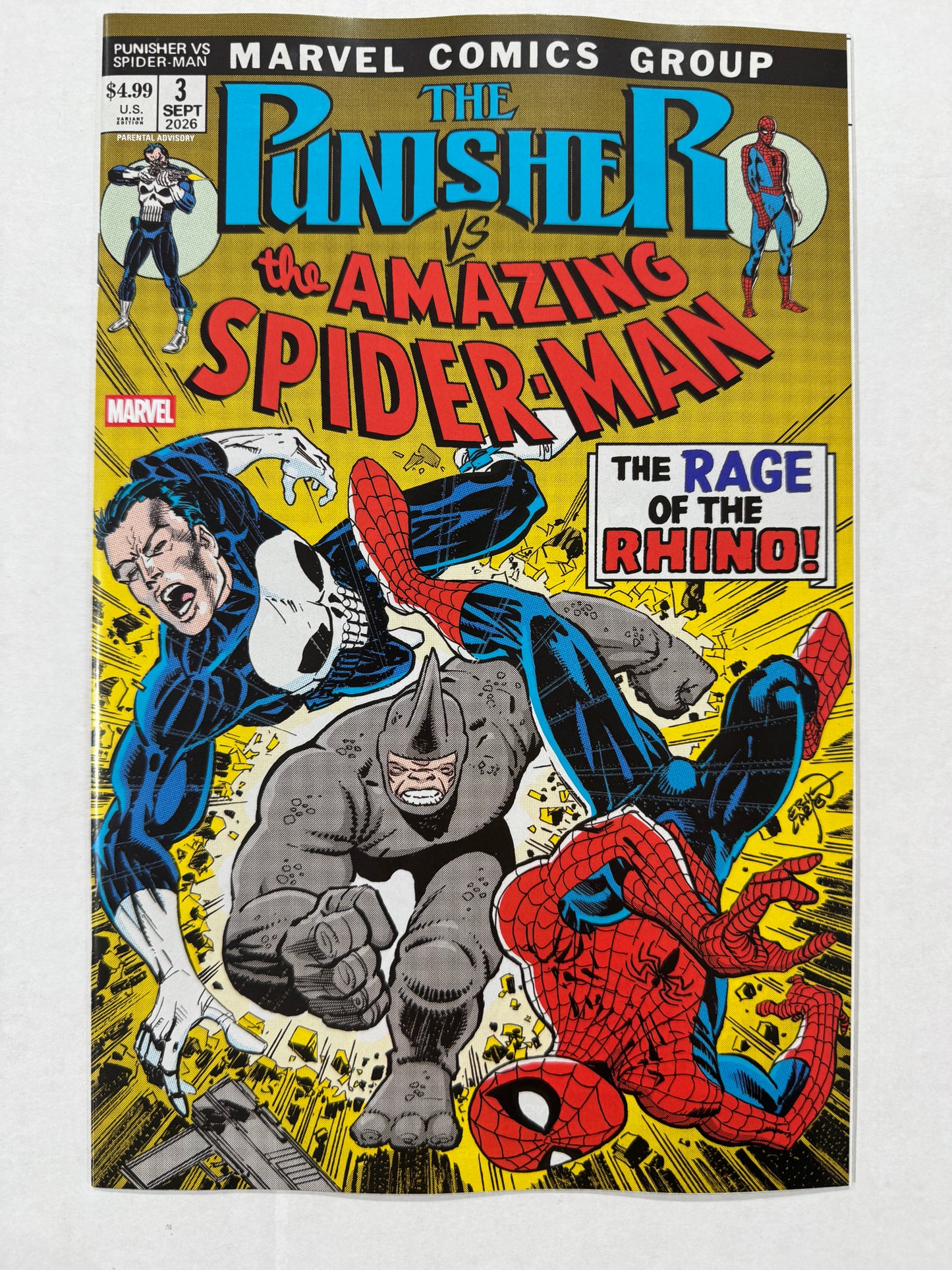 PUNISHER VS. SPIDER-MAN #3 NM Erik Larsen Variant