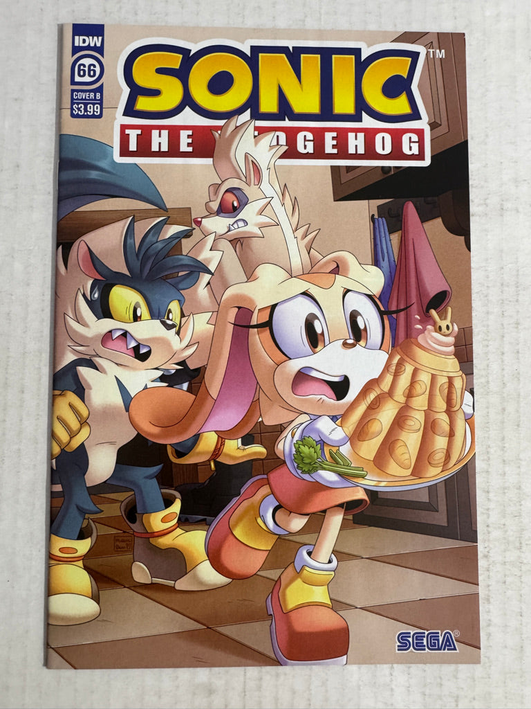 SONIC THE HEDGEHOG #66 NM B Variant