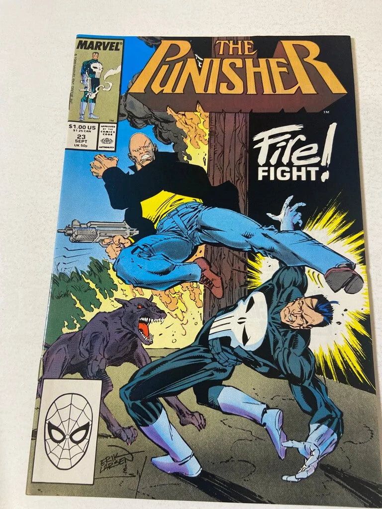 PUNISHER #23 Vol 2 Erik Larsen Cover