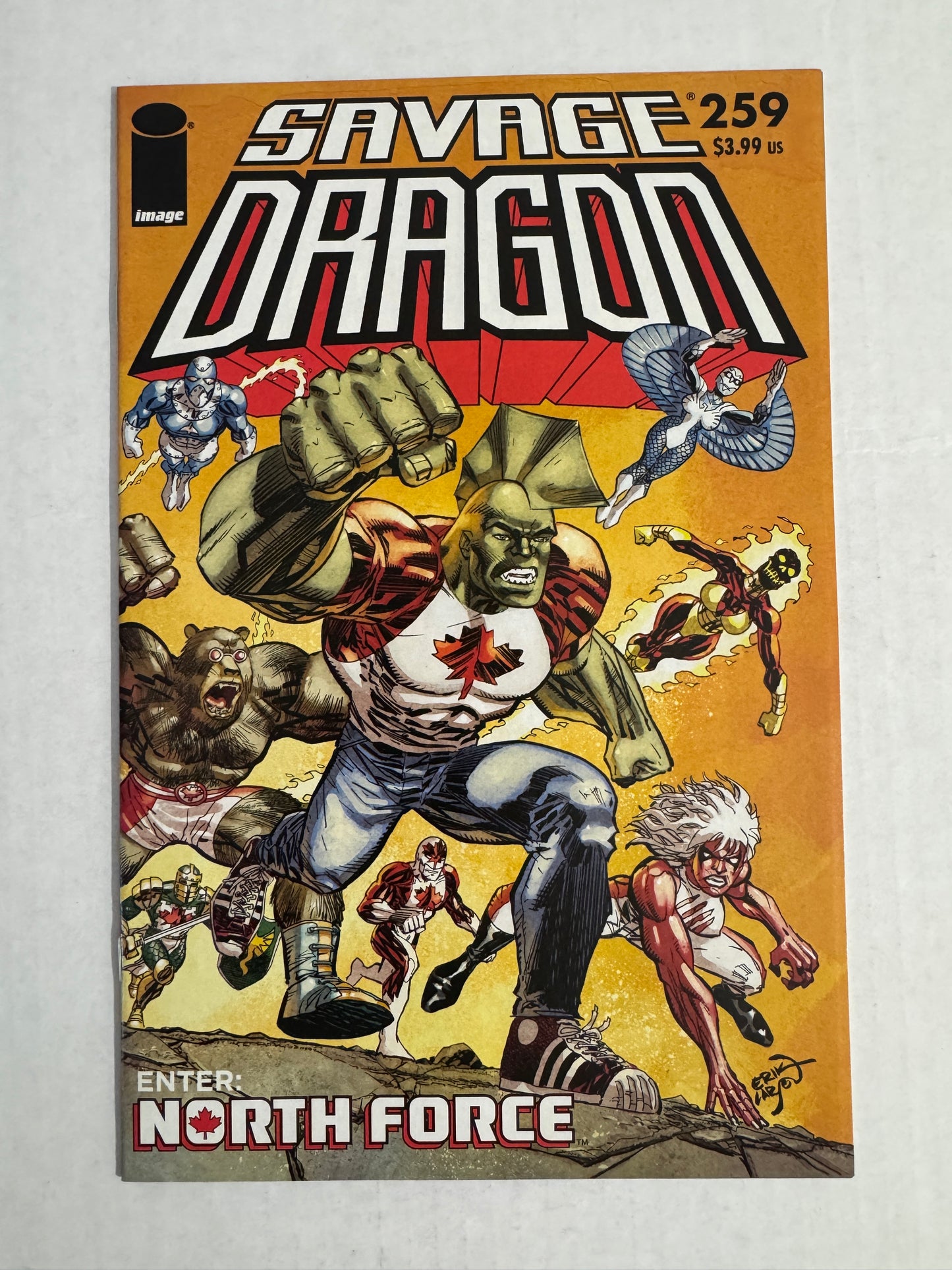 SAVAGE DRAGON #259 Vol 2 NM