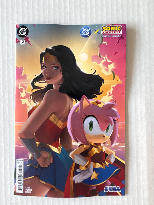 DC X SONIC THE HEDGEHOG Metal Legion #2 NM Leirix Variant
