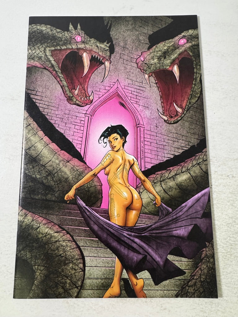 BARBARIC #2 NM C Seeley Nude Risque Variant