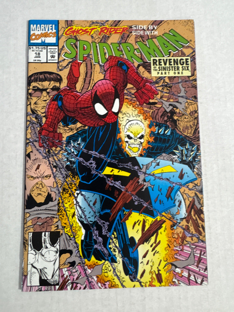 SPIDER-MAN #18 NM Erik Larsen Cover
