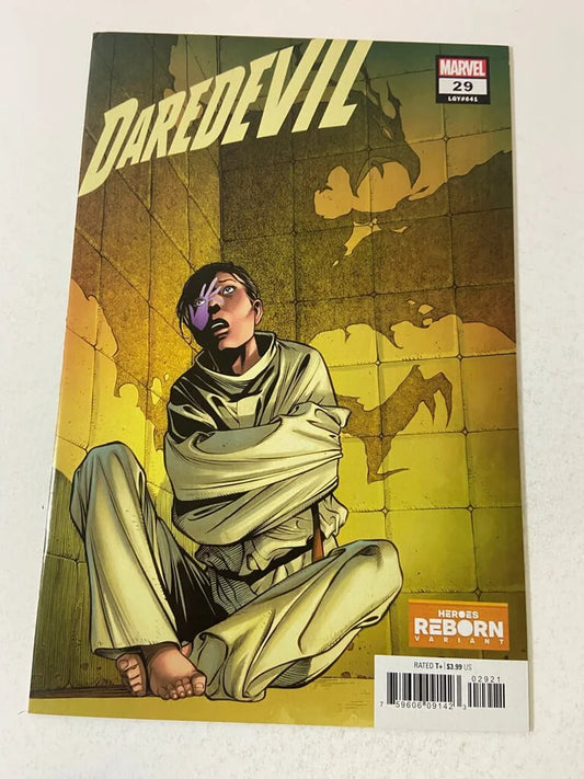 DAREDEVIL #29 Vol 6 NM Carlos Pacheco Variant