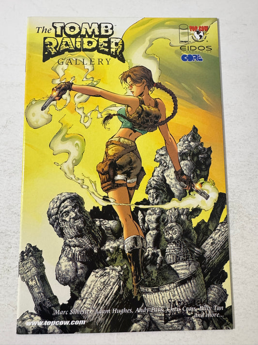 THE TOMB RAIDER GALLERY NM