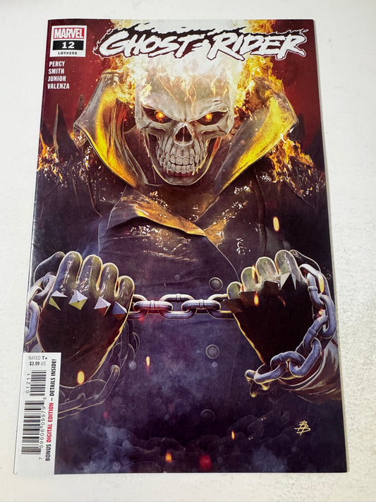 GHOST RIDER #12 Vol 7 NM Bjorn Barends Cover