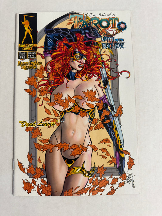TAROT WITCH OF THE BLACK ROSE #43 NM Jim Balent Cover