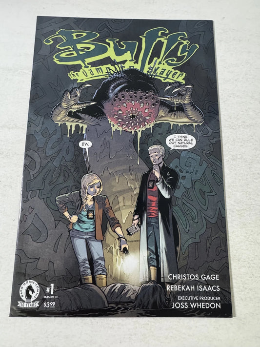 BUFFY THE VAMPIRE SLAYER Season 11 #1 VF/NM B Variant