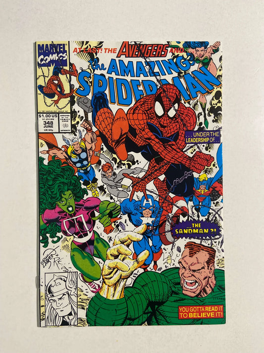AMAZING SPIDER-MAN #348 NM Erik Larsen Cover