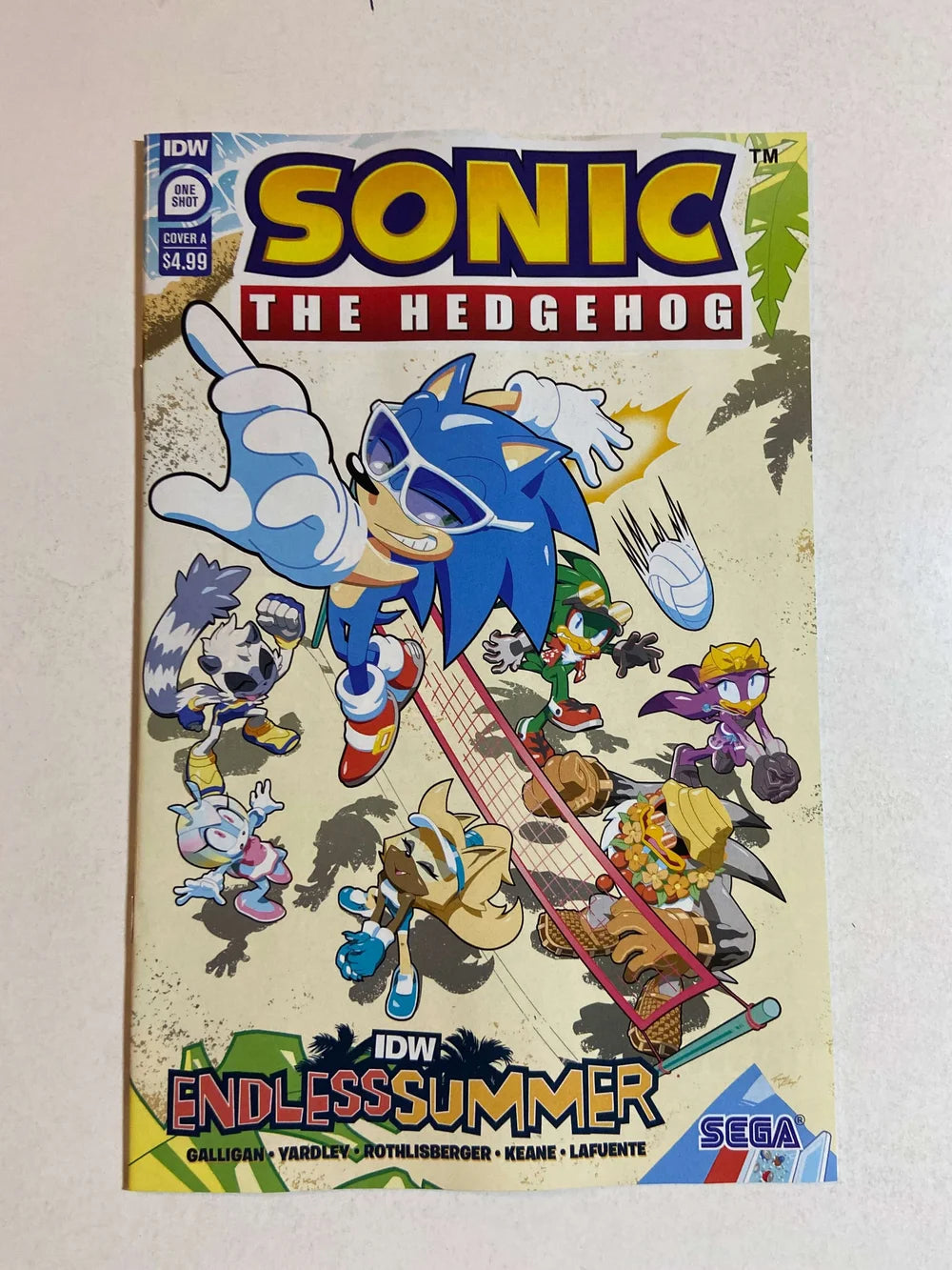 SONIC THE HEDGEHOG Endless Summer NM