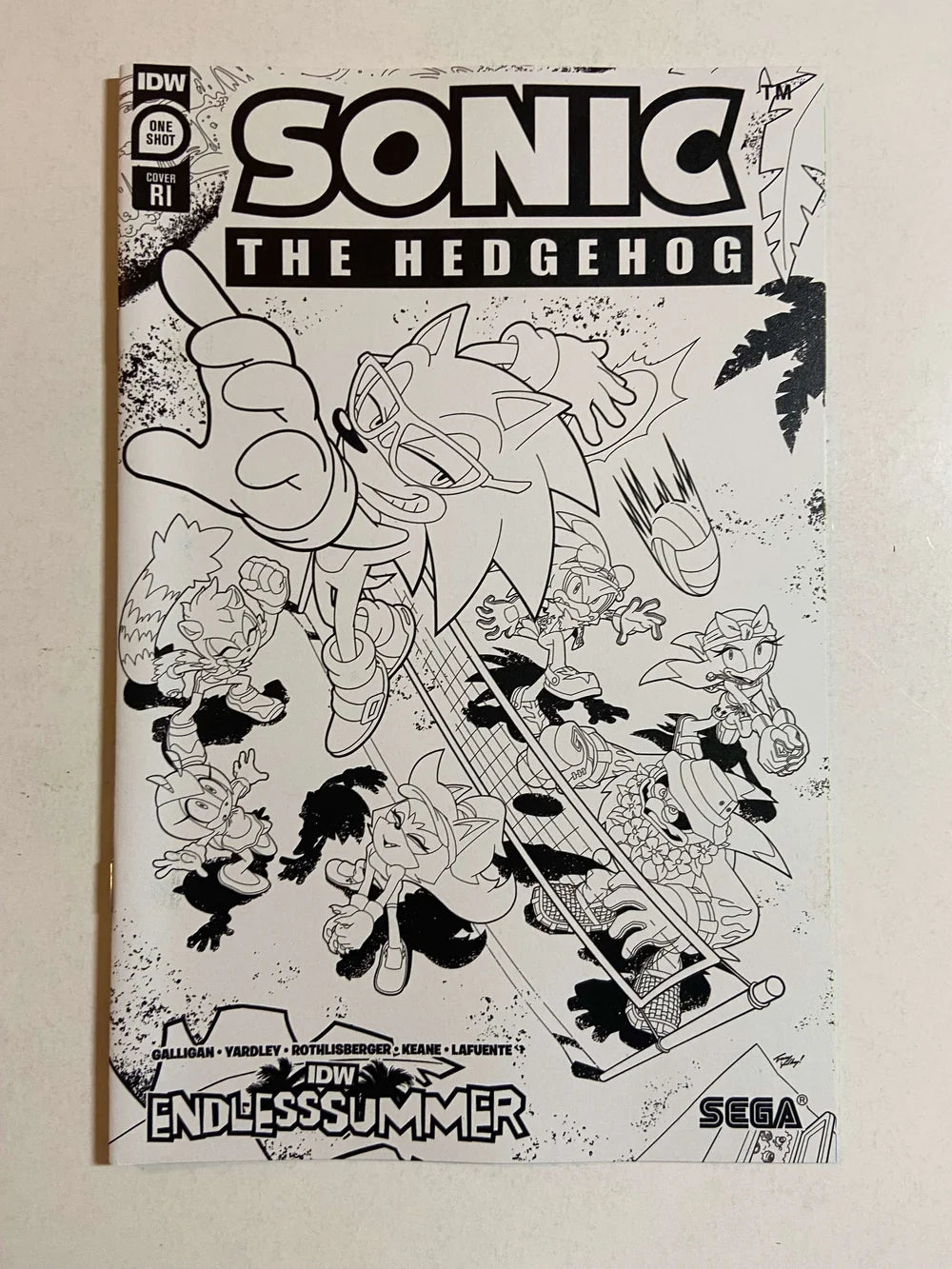 SONIC THE HEDGEHOG Endless Summer NM 1:10 B/W Variant