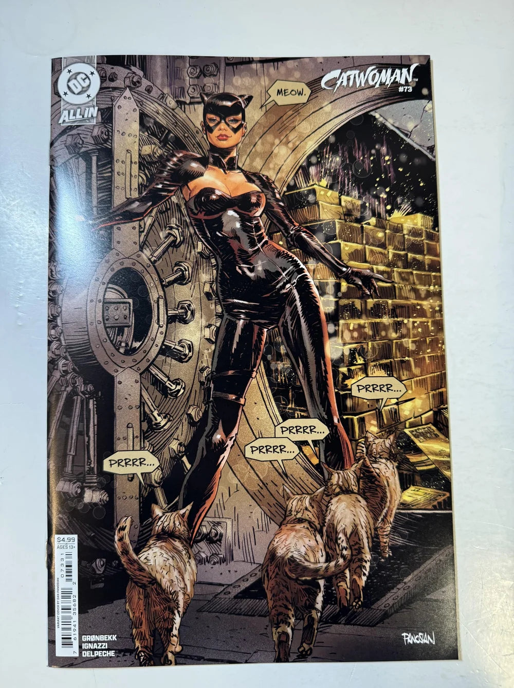CATWOMAN #73 Vol 5 NM Dan Panosian Variant