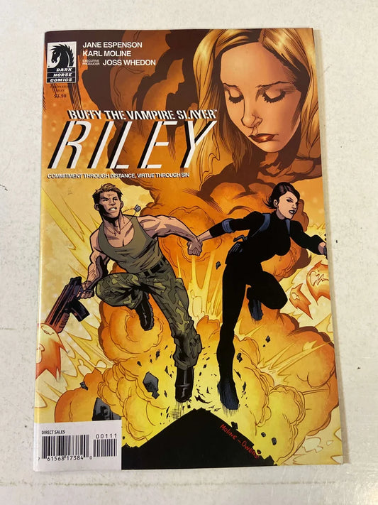 BUFFY THE VAMPIRE SLAYER Season 8 RILEY NM B Variant