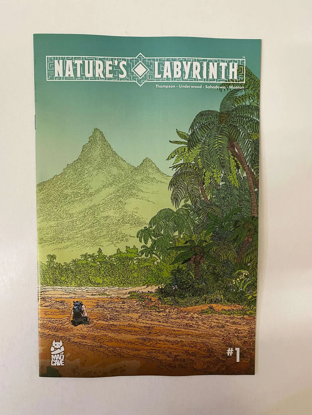 NATURE'S LABYRINTH #1 NM