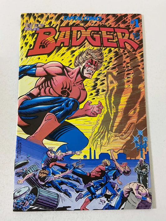 BADGER #1 NM- Steve Rude Cover  - 1st Appearance