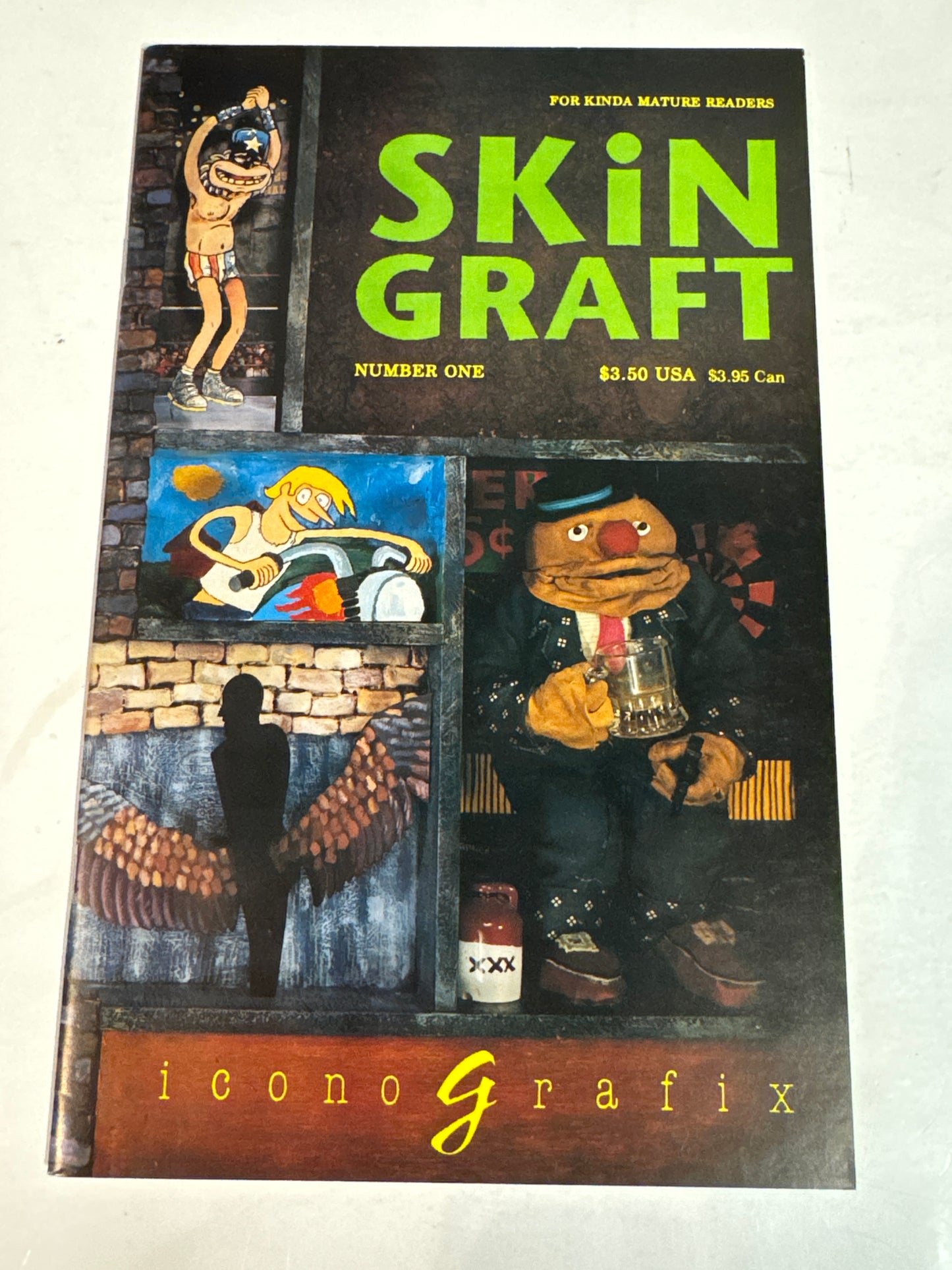SKIN GRAFT #1 VF/NM