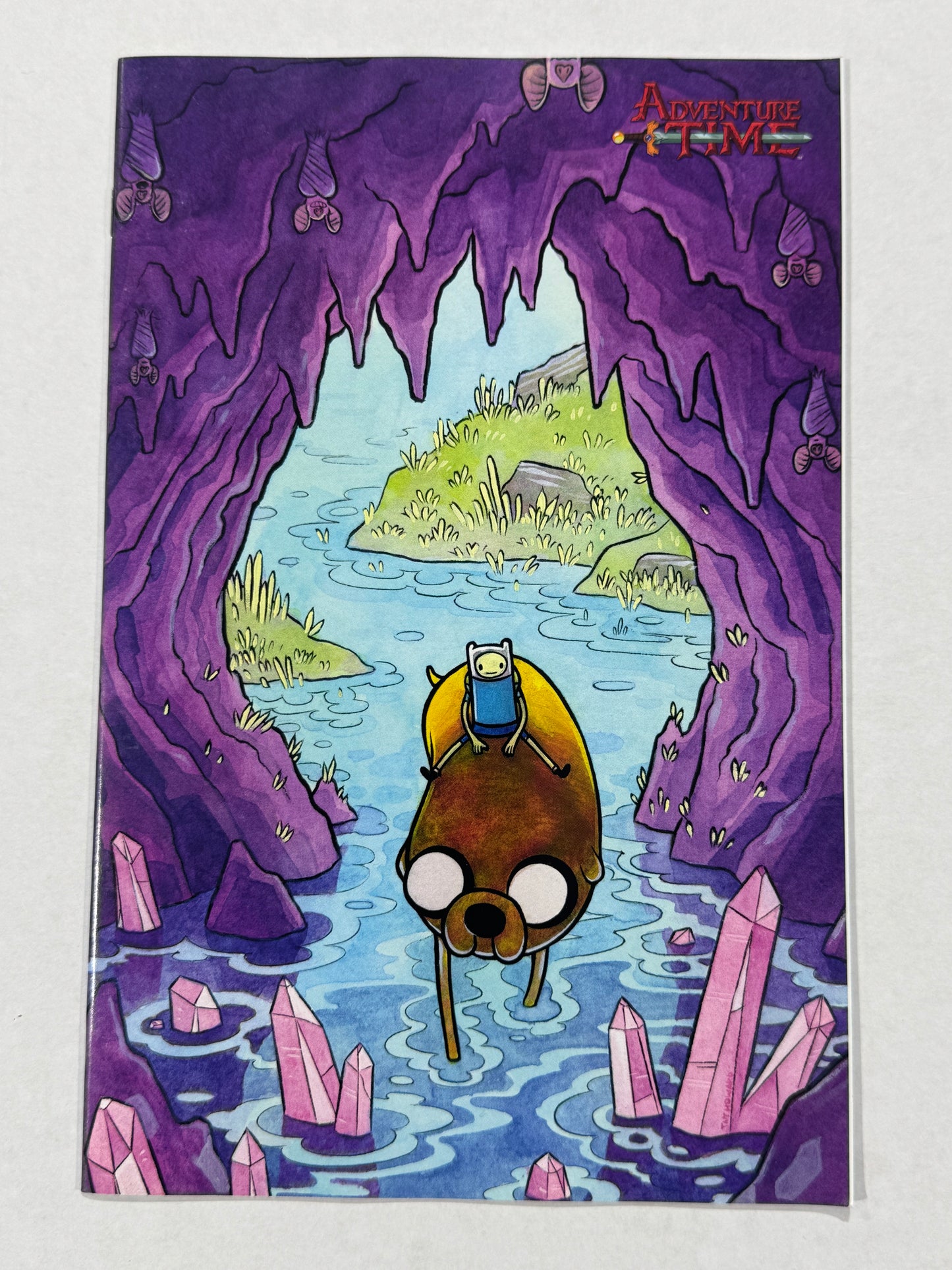 ADVENTURE TIME #27 Calgary Expo Exclusive Variant