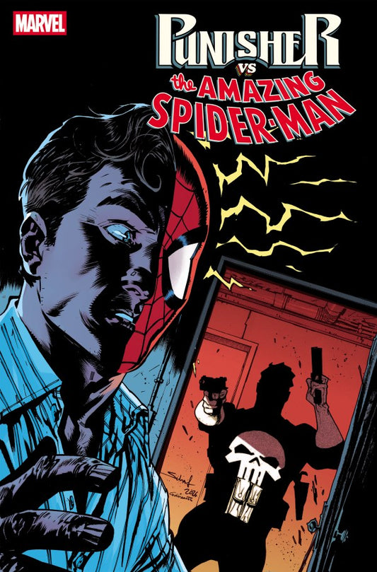 PRE-SALE: PUNISHER VS. SPIDER-MAN #4
