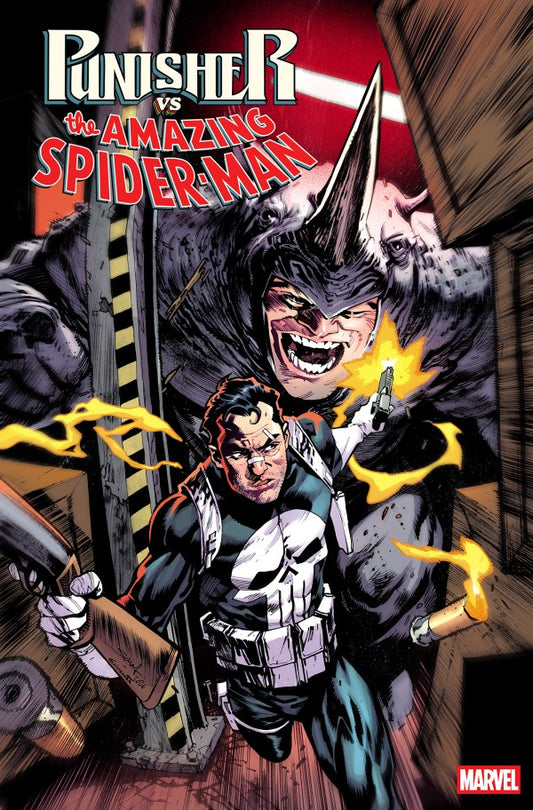 PRE-SALE: PUNISHER VS. SPIDER-MAN #3